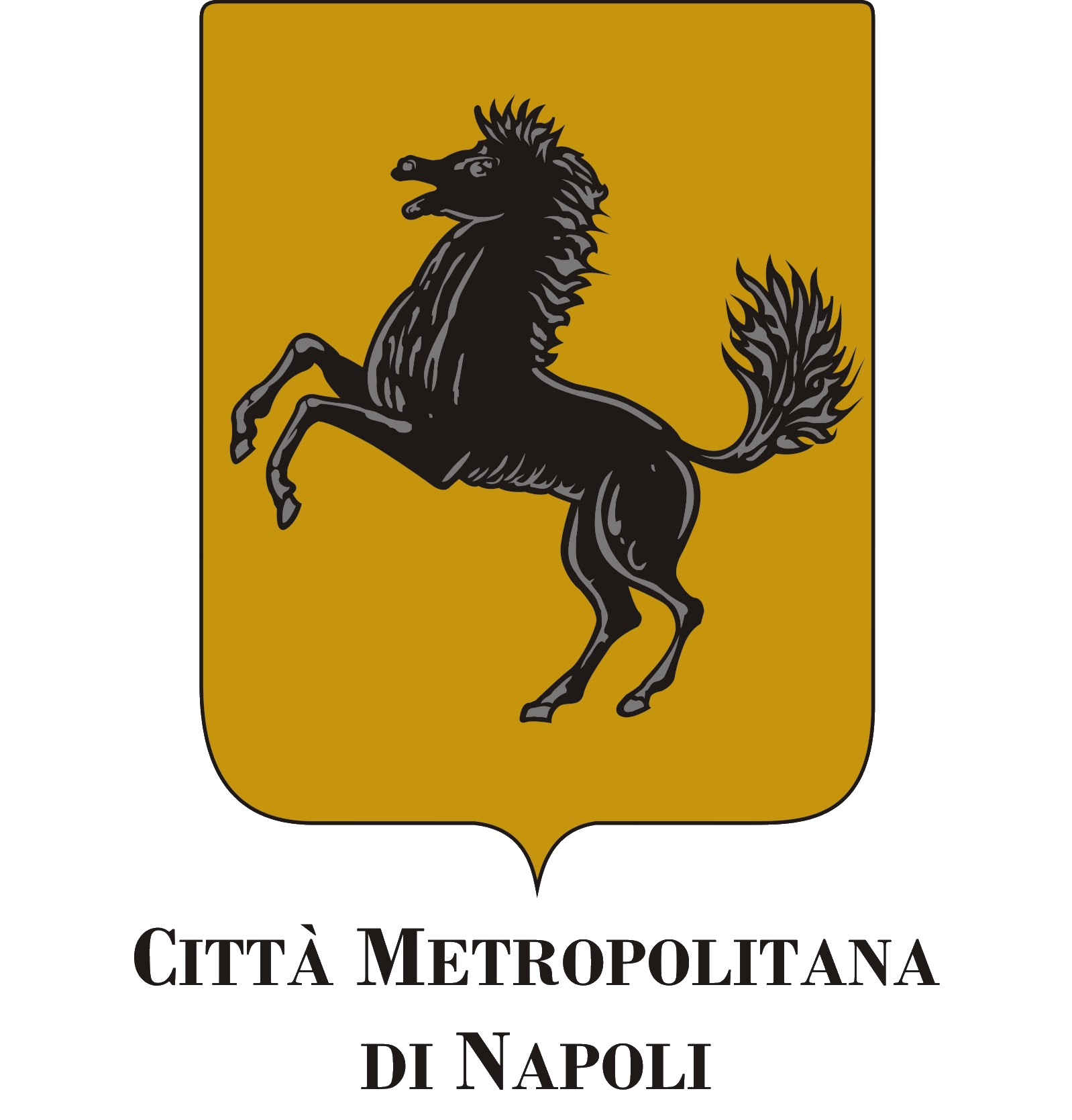 logo Citta Metropolitana di Napoli